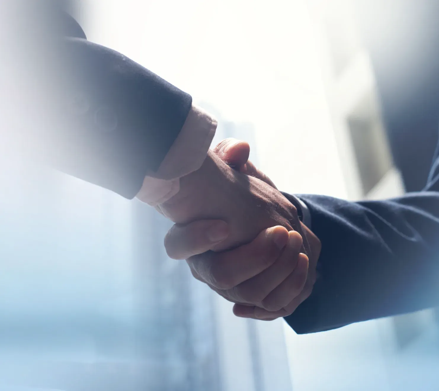 Two professionals shaking hands