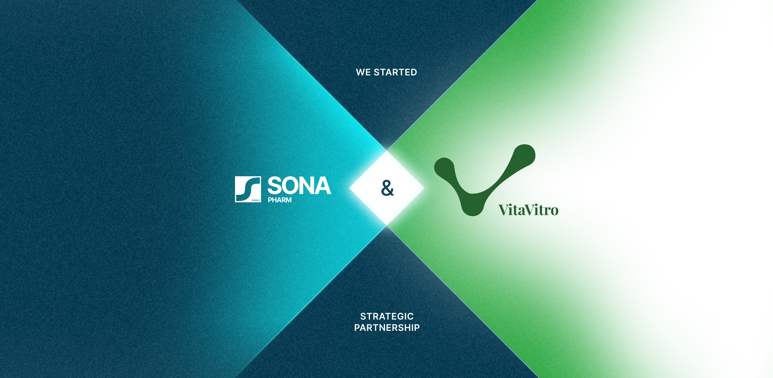 Sona Pharm Announces New Partnership with VitaVitro